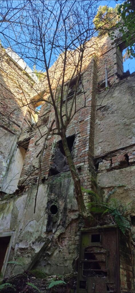 Heritage building restoration company Cambridge